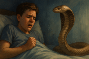 Mơ Thấy Rắn Quấn Người – Giải Mã Giấc Mơ Linh Thiêng Và Con Số Liên Quan