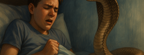 Mơ Thấy Rắn Quấn Người – Giải Mã Giấc Mơ Linh Thiêng Và Con Số Liên Quan