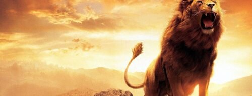 Giải mã mơ thấy sư tử: Hé lộ thông điệp về quyền lực, tài lộc và cảnh báo