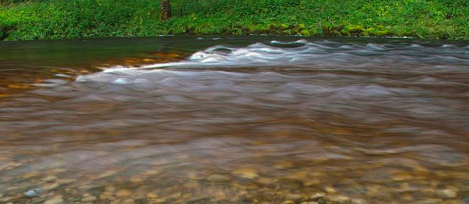 Thể hiện đúng khung cảnh của giấc mơ.