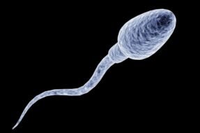 Giải mã giấc mơ thấy tinh trùng và ý nghĩa bất ngờ phía sau