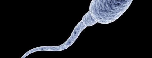 Giải mã giấc mơ thấy tinh trùng và ý nghĩa bất ngờ phía sau