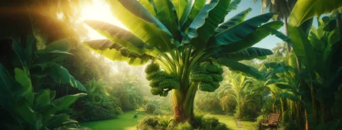 Bí Ẩn Giấc Mơ Thấy Cây Chuối Non Và Ý Nghĩa Phong Thủy Đằng Sau