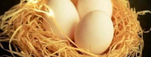 Giải Mã Giấc Mơ Thấy Rổ Trứng Báo Hiệu Điều Gì Trong Cuộc Sống?