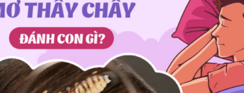 Mơ thấy con chấy là điềm lành hay điềm dữ? Cẩn thận điều gì sắp tới