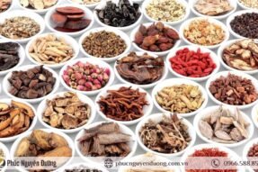 Giải Mã Giấc Mơ Thấy Viên Thuốc Bổ – Điềm Báo Về Sức Khỏe Và Cuộc Sống