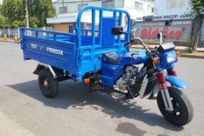 Giải Mã Giấc Mơ Thấy Xe Bò Ba Gác Là Điềm Gì?