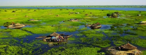 Giấc Mơ Thấy Bùn Đầm Lầy – Thông Điệp Về Áp Lực, Cản Trở Và Sự Tái Sinh