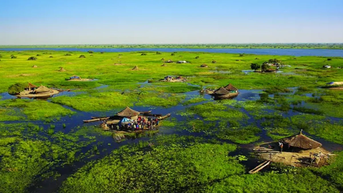 Ý nghĩa chung của giấc mơ thấy bùn đầm lầy