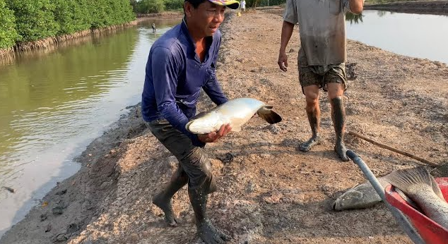 Hai người cùng đứng bên ao, một người đang vớt cá, người kia nhìn theo.