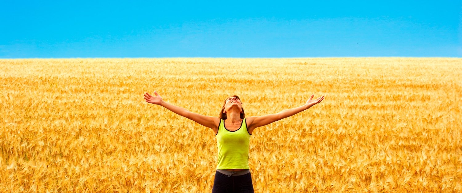 vượt qua khó khăn và sắp gặt hái thành công sau nhiều nỗ lực