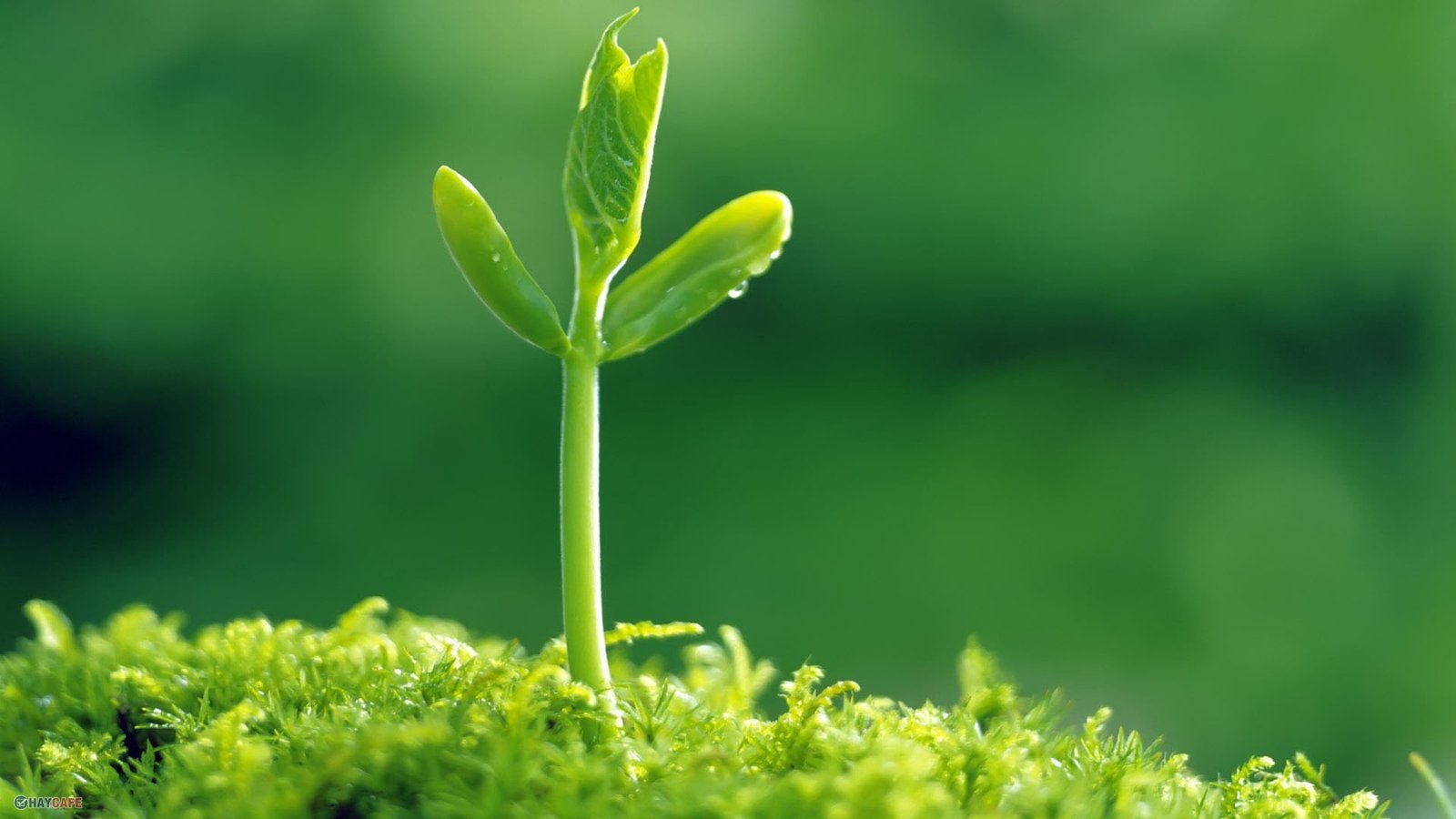 Mơ thấy tay bị băng bó mang cảm giác hy vọng