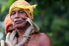 Giải Mã Giấc Mơ Thấy Bị Rắn Cắn Chân Và Những Dấu Hiệu Thú Vị Bạn Nên Biết