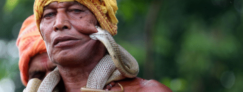 Giải Mã Giấc Mơ Thấy Bị Rắn Cắn Chân Và Những Dấu Hiệu Thú Vị Bạn Nên Biết