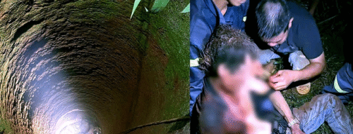 Mơ Thấy Bị Té Giếng – Giải Mã Điềm Báo & Những Con Số Liên Quan