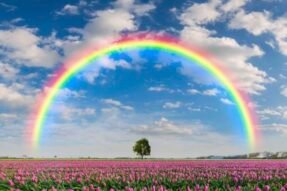 Mơ Thấy Cầu Vồng Đôi Thông Điệp Của Hạnh Phúc