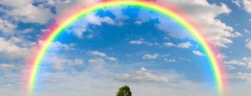 Mơ Thấy Cầu Vồng Đôi Thông Điệp Của Hạnh Phúc