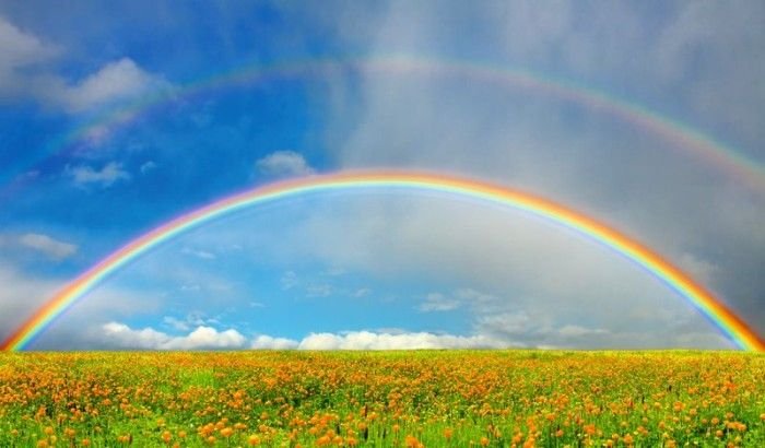 Lời nhắc bạn nên trân trọng những gì đang có