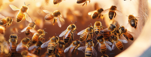 Mơ Thấy Con Ong – Giải Mã Giấc Mơ Mang Điềm Báo May Mắn Và Số Liên Quan