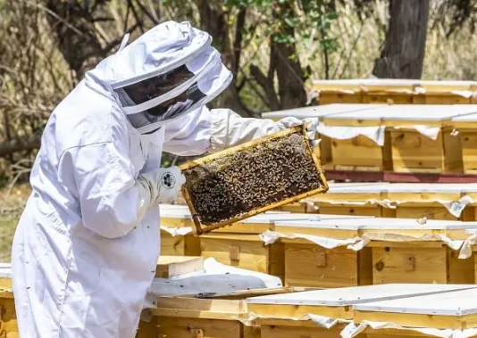 Gợi cảm giác bình yên và hạnh phúc.