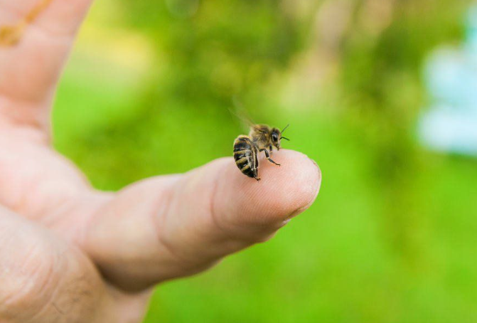 Thể hiện thử thách nhưng cũng là cơ hội để trưởng thành.