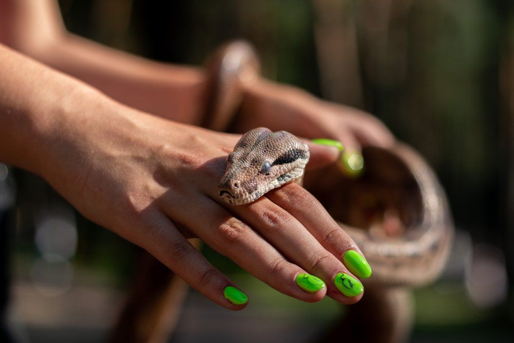 Giấc mơ này cho thấy năng lượng dương trong bạn đang trỗi dậy