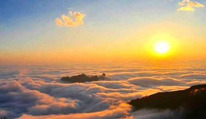 Biểu trưng cho sự tái sinh và khởi đầu mới sau giấc mơ thấy đi đám tang.