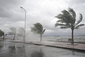 Mơ Thấy Gió Lớn Báo Hiệu Biến Động Trong Cuộc Sống