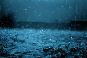 Mơ Thấy Trời Mưa To – Giải Mã Điềm Báo Và Con Số May Mắn Trong Cuộc Sống