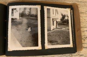 Mơ Thấy Ảnh Cũ – Giải Mã Ký Ức Và Con Số May Mắn