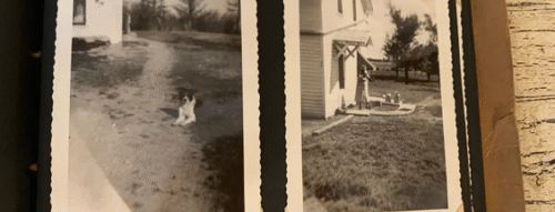 Mơ Thấy Ảnh Cũ – Giải Mã Ký Ức Và Con Số May Mắn