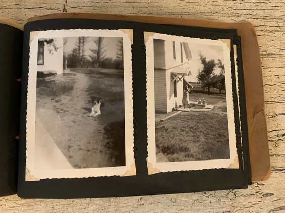 Ảnh một người đang xem album ảnh cũ, ánh sáng nhẹ và mang màu hoài niệm