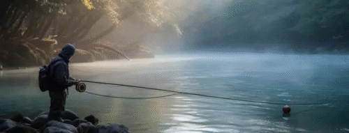 Mơ Thấy Đi Câu Cá Và Những Dấu Hiệu May Mắn Đáng Suy Ngẫm