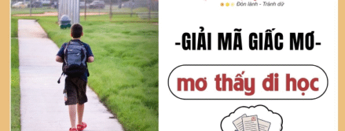 Mơ Thấy Mình Đi Học Và Những Thông Điệp Đặc Biệt Từ Giấc Mơ