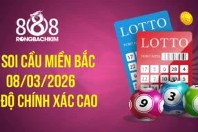 Soi cầu Rồng Bạch Kim 888 xổ số Miền Bắc hôm nay ngày 08/03/2026
